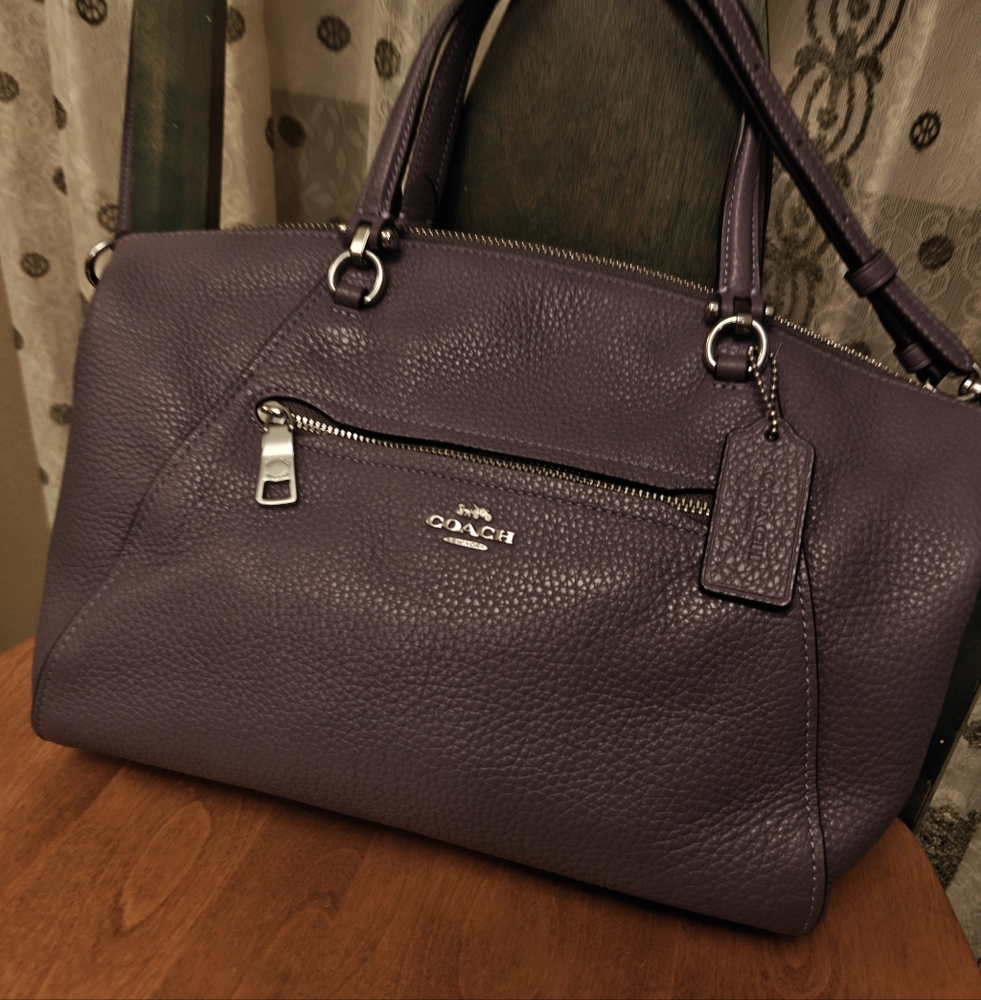 Amethyst Coach Bag
